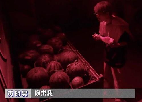 娱乐吃瓜密室逃脱小说推荐 第2张 娱乐吃瓜密室逃脱小说推荐 第2张